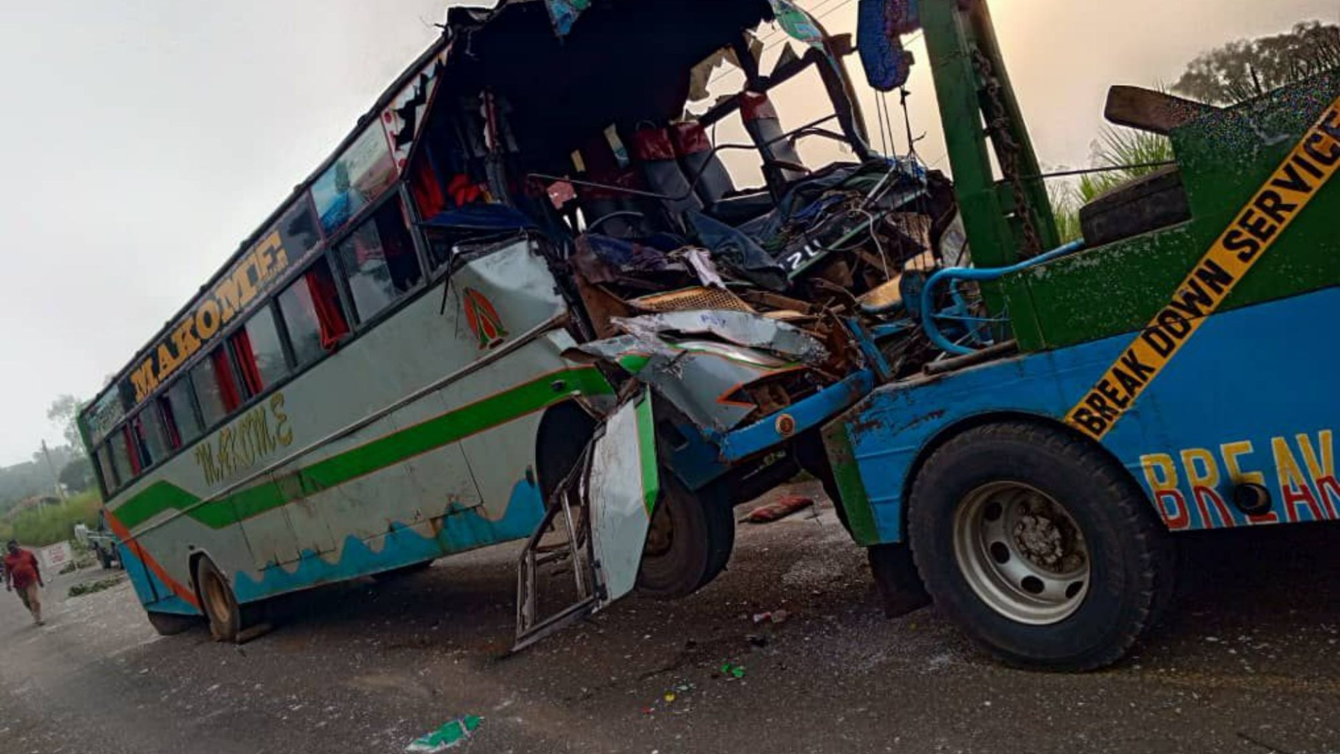 Bent vienas nužudytas ir kelis sužeistas po autobusų plūgo į dramblį, nes šokiruojantys paveikslėliai rodo siaubo žalą