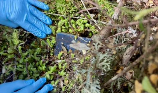 Dingusio keliautojo telefonas buvo rastas praėjus dvejiems metams po paslaptingo dingimo, paskatinusio naują paiešką