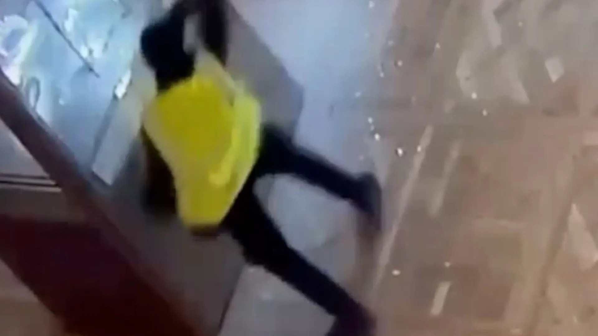 Dramatiškoje vaizdo stebėjimo kameroje užfiksuota akimirka, kai įžūlus vagis Luvre sudaužo vitriną per 76 milijonų svarų sterlingų karūnos brangakmenių vagystę