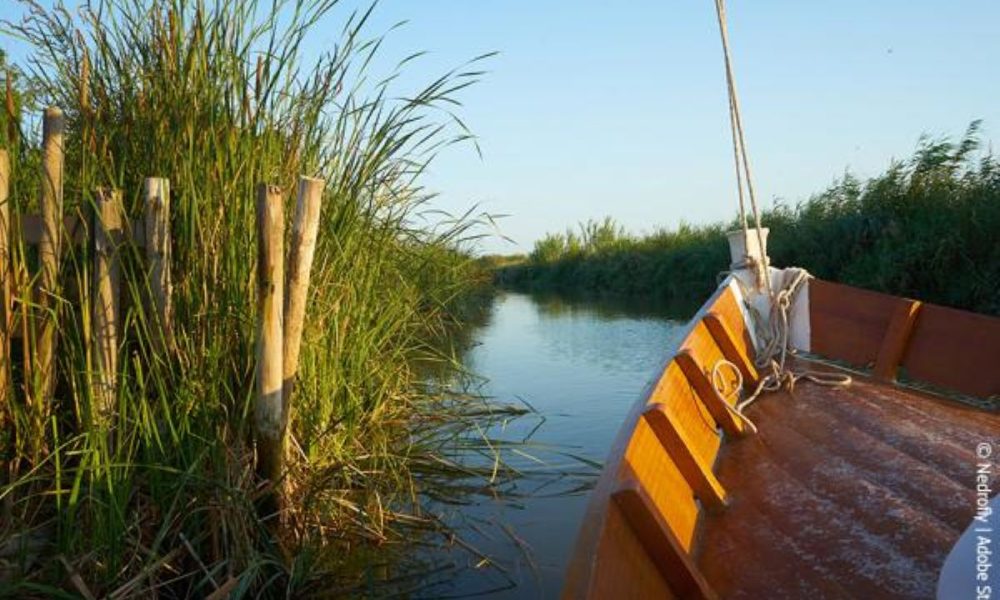 Šlapynių atkūrimas pagal iki šiol didžiausią LIFE programos projektą